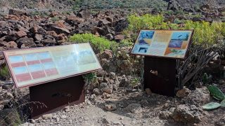 GC-Necropolis de Arteara 2026-20.jpg